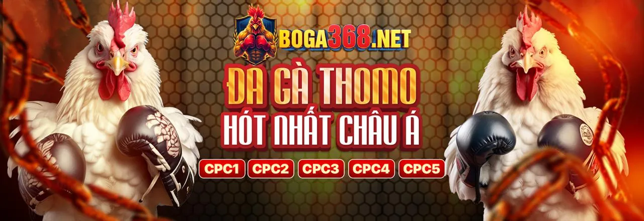 Cộng Đồng Đá Gà Trực Tiếp Sôi Động